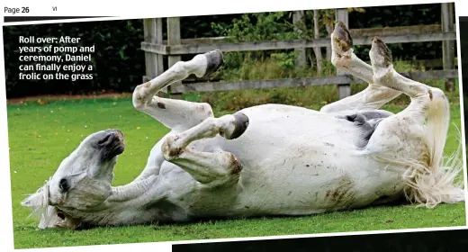  ??  ?? Roll over: After years of pomp and ceremony, Daniel can finally enjoy a frolic on the grass