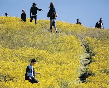  ?? Francine Orr Los Angeles Times ?? VISITORS WANDER through Carrizo Plain National Monument in April. The Trump administra­tion has ordered a review of all national monuments that were created since 1996 and are larger than 100,000 acres.