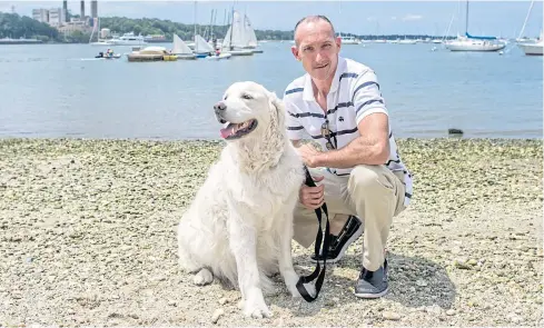  ?? NYT ?? Mark Freeley with Storm, his six-year-old retriever, who pulled a fawn from Port Jefferson Harbor several days ago.