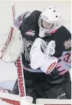  ?? MIKE DREW ?? Calgary Hitmen goaltender Cody Porter turns 19 on Friday.