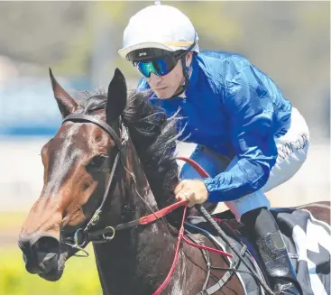  ??  ?? HIGH HOPES: Glyn Schofield on Athiri wins at Rosehill Gardens in December. Picture: GETTY IMAGES