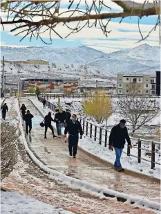  ??  ?? La helada de febrero de 2011 y la actual se presentaro­n después de un periodo de sequía que atraviesa el estado de Chihuahua