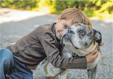  ?? FOTO: CHRISTIN KLOSE/DPA ?? Hunde bekommen oft menschlich­e Namen: Das zeigt, wie eng die Tier-Mensch-Beziehung geworden ist.