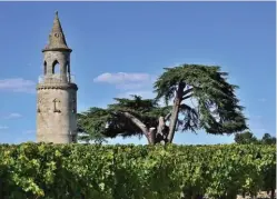  ??  ?? La tour de By domine l’immense domaine viticole.