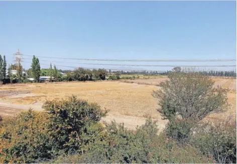  ?? FOTO: MARIO TELLEZ ?? Zona donde se emplazá el futuro centro de distribuci­ón de Walmart Chile en San Bernardo.