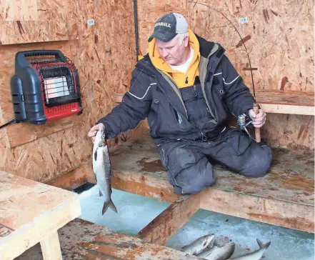  ?? PAUL A. SMITH / MILWAUKEE JOURNAL SENTINEL ?? Bret Alexander, a fishing guide from Green Bay, lands a whitefish while ice fishing in an ice house on Green Bay near Sturgeon Bay.