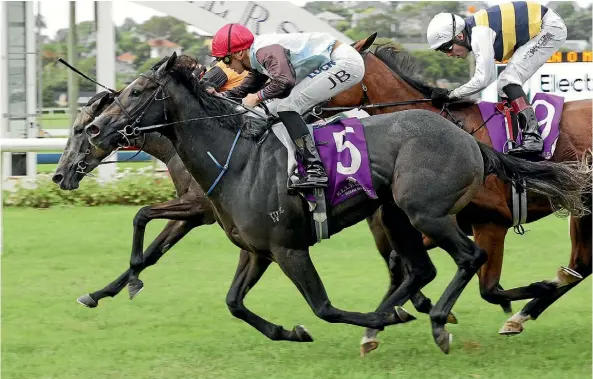  ??  ?? On The Rocks (No 5) and rider Jake Bayliss win the Avondale Guineas.