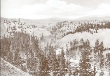  ?? PHOTOGRAPH #8338/Courtesy of Kelowna Museums ?? Mission Creek as it looked in 1910. Harry Mills co-pre-empted 320 acres on the north fork of Mission Creek on Feb. 10, 1916.