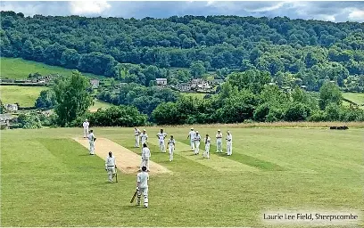 Beauty of a sloping pitch that was bought by valley celebrity - PressReader