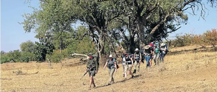 LOST IN THE LOWVELD - PressReader