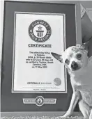  ?? WORLD RECORDS ?? Pebbles spent her days "enjoying country music and being loved," her owners wrote in a tribute. GUINNESS