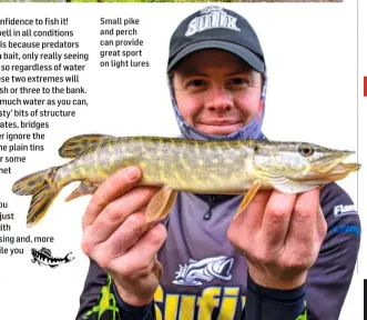  ??  ?? Small pike and perch can provide great sport on light lures