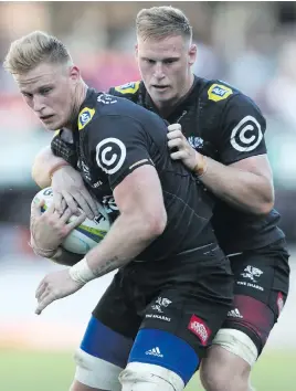  ?? Picture: Gallo Images ?? DOUBLE TROUBLE. Western Province coach John Dobson believes Sharks loose-forwards Dan and Jean-Luc du Preez (above) could be a handful in Saturday’s Currie Cup final at Newlands.