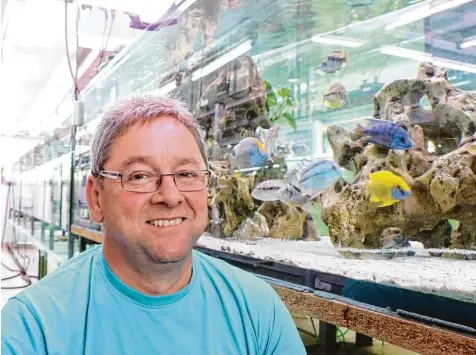  ?? Foto: René Lauer ?? Helmut Löfflad verkauft und züchtet in seinem Cichlidens­tadl in Bühl bei Alerheim Buntbarsch­e. In einem großen Aquarium inmitten seines Geschäfts (im Bild) präsentier­t er Tiere, die Taucher für ihn direkt aus Seen in Ostafrika gefischt haben –...