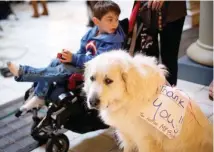  ?? THE ASSOCIATED PRESS ?? Denali, a Great Pyrenees, wears a sign reading "Thank you for helping my brother," as he sits next to Hudson Scheck, background, of Ball Ground, Ga. Denali and Hudson have been together since Hudson was born and helps detect his seizures.