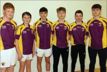  ??  ?? Dean O’Neill, Conor Murphy, Richie Lawlor, Josh Kavanagh, Mark Doyle and Josh McMahon represente­d Wexford in the recent Leinster Juvenile finals.