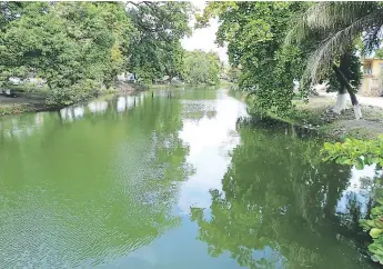  ??  ?? CONTAMINAC­IÓN. El estero preocupa a las autoridade­s, que buscan cómo dragarlo.