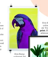  ??  ?? Evie Kemp unframed A4 ‘The Macaw’
print, $39, from afdstore.co.nz.