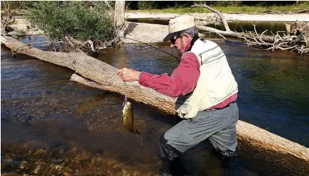  ?? NWA Democrat-Gazette/FLIP PUTTHOFF ?? Russ Tonkinson battles a log as well as the fish to catch a smallmouth bass from the Elk River near Pineville, Mo. The bass was holed up in a tub-sized pool and ambushed a top-water lure.