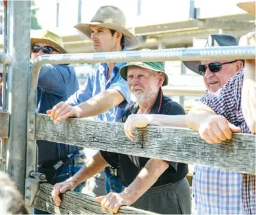  ??  ?? Saleyards regulars gathered for the final cattle sales on Wednesday including Bill Waddell (centre) of Seaview.