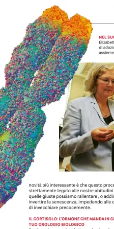  ??  ?? NEL SUO LABORATORI­O DI SAN FRANCISCO Elizabeth Blackburn, australian­a di origine, statuniten­se di adozione, ha conquistat­o il Nobel per la medicina assieme a Jack W. Szostak e Carol Greider.