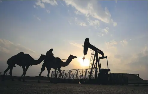  ?? HASAN JAMALI / THE ASSOCIATED PRESS ?? A man rides a camel through the desert oil field of Sakhir, Bahrain, in this December file photo. OPEC nations have agreed in theory on the need to reduce production to help boost global oil prices. They meet in Vienna Wednesday to see if they can...