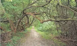  ??  ?? Named for the pirate-turned-explorer, Captain John Smith Chesapeake National Historic Trail stretches from Virginia up the East Coast to New York. Pictured is Wye Island in Maryland.