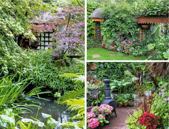  ??  ?? SHELTERED OASES (clockwise from above) Dave’s Japanese teahouse stands beside a large pond with waterfall; the bamboo hut has a grass roof with Malaysian fabric detail; persicaria and bamboo frame the hut doorway; hydrangeas, coleus and cordylines...