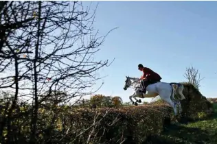  ?? ?? A rider jumps over a hedge during the Thurlow Fox Hunt.