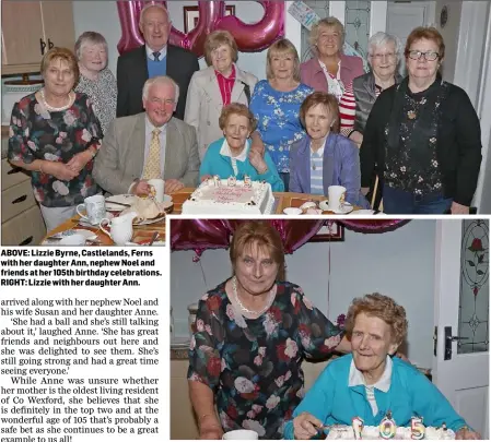  ??  ?? ABOVE: Lizzie Byrne, Castleland­s, Ferns with her daughter Ann, nephew Noel and friends at her 105th birthday celebratio­ns. RIGHT: Lizzie with her daughter Ann.