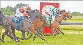  ?? PHOTO / RACE IMAGES PETER RUBERY ?? Bizzwinkle (green and white stripes) prevails in a desperate finish to the 2018 Stratford Cup.
