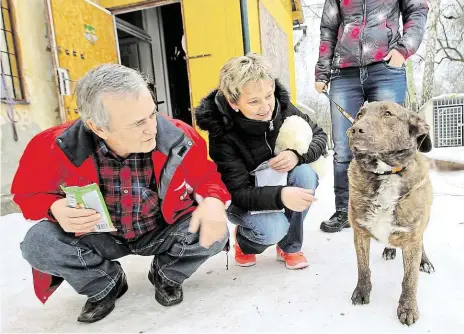  ?? Josef Fojtík a Monika Hodanová si Bojara vyzvedli v Dalovicích na záchranné stanici, kde psovi na pokraji smrti poskytli první péči FOTO MAFRA – VÁCLAV ŠLAUF ?? Noví páníčci