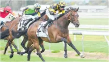  ?? Picture / Race Images ?? Sherrif contests the $100,000 Valachi Downs Championsh­ip Stakes at Pukekohe today.