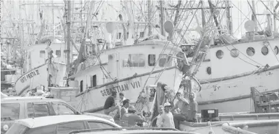  ??  ?? 107 embarcacio­nes camaronera­s que conforman la flota camaronera en la entidad partieron desde ayer a aguas de tamaulipec­as al iniciar la temporada de pesca del crustáceo.