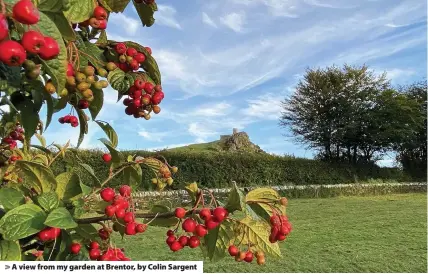  ??  ?? > A view from my garden at Brentor, by Colin Sargent