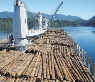  ?? LEMARE LAKE LOGGING LTD. ?? In recent years, Scott Doherty and Torrance Coste write, the provincial government has allowed more and more raw, unprocesse­d logs to leave B.C.
