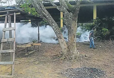  ??  ?? ELiminació­n. Los trabajos de fumigación se están realizando en lugares donde se reportan más casos de dengue.