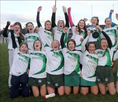  ??  ?? The Cloughbawn team celebrate after their superb victory in the Wexford Premier Minor camogie final against St.