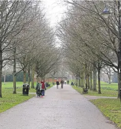  ??  ?? Victoria Park could receive a multi-million pound boost and, right, how the eye-catching tower slide could look