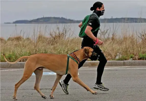  ?? MATT STONE / HERALD STAFF FILE ?? ON THE RUN: Owning a dog has been shown to improve people’s health because it gets them outdoors. Exercise and fresh air are beneficial to both the dog and its owners.