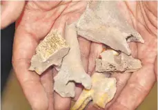  ?? FOTO: TIMO LOCHERER ?? Fragmente menschlich­er Knochen sind bei den Bauarbeite­n in der Stadtpfarr­kirche St. Martin gefunden worden. Von wem sie stammen, ist jedoch unklar.