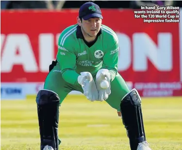  ??  ?? In hand: Gary Wilson wants Ireland to qualify for the T20 World Cup in
impressive fashion