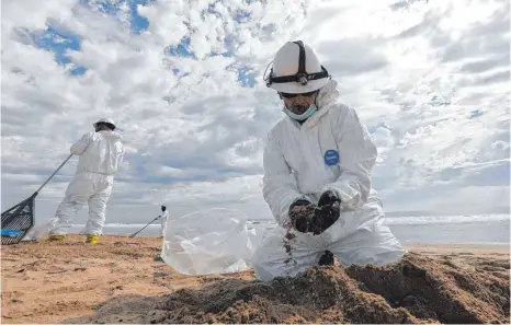  ?? FOTO: XINHUA/DPA ?? Verschmutz­ter Traumstran­d: Mitglieder des Aufräumtea­ms sammeln am Huntington Beach in Kalifornie­n Öl aus dem Sand.