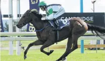  ?? PHOTO: TRISH DUNELL ?? Stepping stone . . . North Island filly Wekaforce is using the Barneswood Farm Stakes at Ashburton today on her path towards the New Zealand One Thousand Guineas next month.