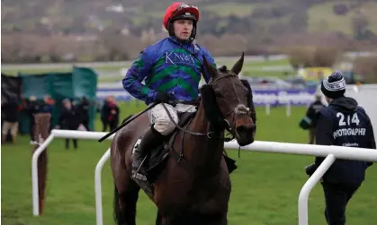  ?? ?? Monbeg Genius after being pulled up at this month’s Cheltenham Festival. Photograph: Tom Jenkins/The Guardian