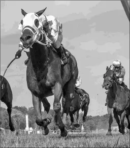  ?? JERRY DZIERWINSK­I/MARYLAND JOCKEY CLUB ?? Xy Speed wins the Laurel Dash in October. In two starts this year, he ran second in a stakes and won a starter allowance.