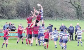  ??  ?? Lineout action from Llangefni v Ruthin (blue) in the WRU Plate