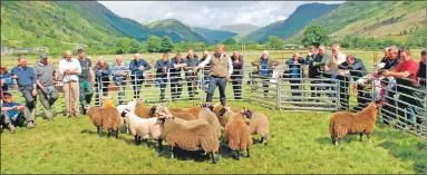  ?? 06_ sheepshow0­6 ?? The sun comes out above Glen Fyne as judge Derek Brown casts his eye over the open ewe lamb class.