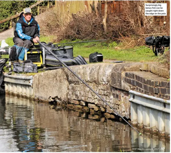  ??  ?? Surprising­ly big bonus fish can be caught right down the edge on the pole