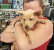  ?? PHOTO COURTESY OF DIANE’S DISCOUNT PETS ?? Diane’s Discount Pets employee Jade Decampli gives Lucky the puppy a welcome back hug after he was returned to the shop from which he had been stolen Saturday.